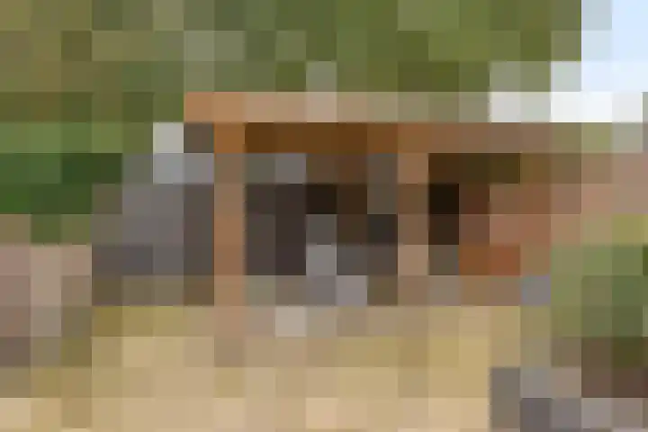 Anna van Lintelolaan 4 Bathmen thumbnail 24