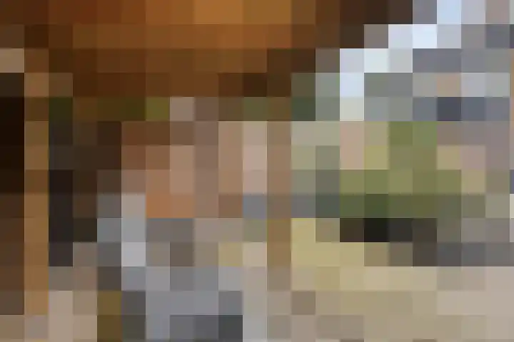 Anna van Lintelolaan 4 Bathmen thumbnail 25