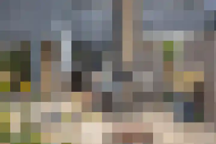 Anna van Lintelolaan 4 Bathmen thumbnail 26