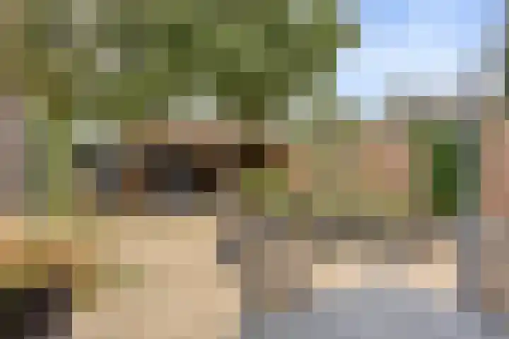 Anna van Lintelolaan 4 Bathmen thumbnail 28
