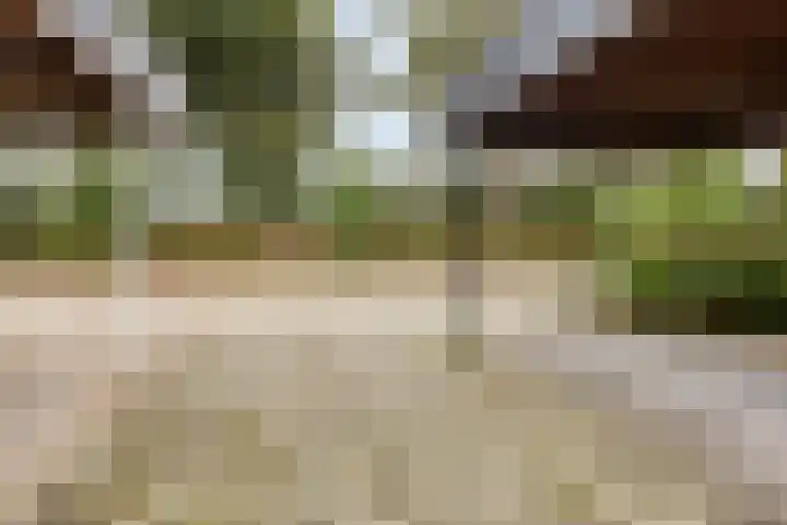 Anna van Lintelolaan 4 Bathmen thumbnail 29