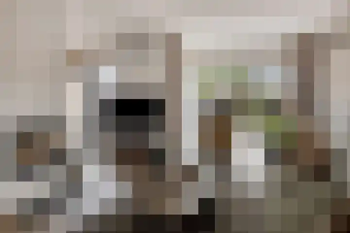 Anna van Lintelolaan 4 Bathmen thumbnail 6