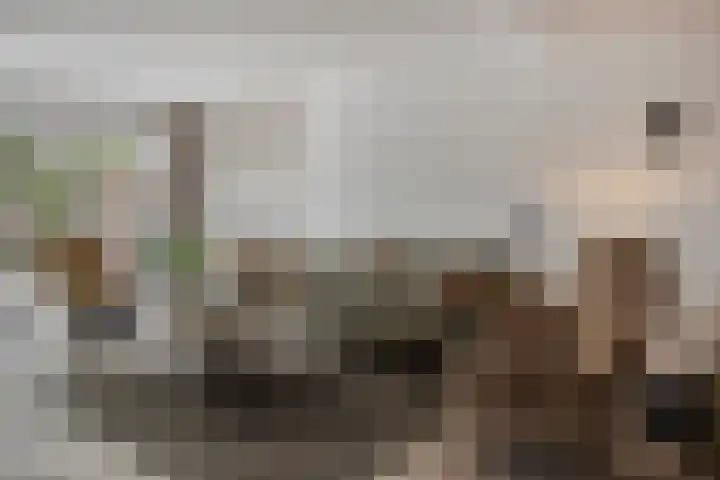 Anna van Lintelolaan 4 Bathmen thumbnail 7