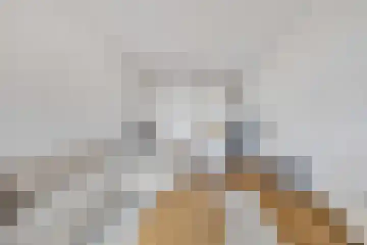 Anna van Lotharingentoren 39 Breda thumbnail 12
