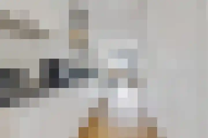 Anna van Lotharingentoren 39 Breda thumbnail 16