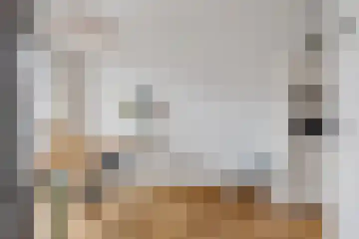 Anna van Lotharingentoren 39 Breda thumbnail 18