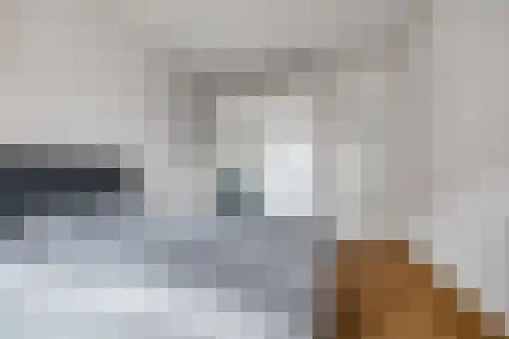 Anna van Lotharingentoren 39 Breda thumbnail 20