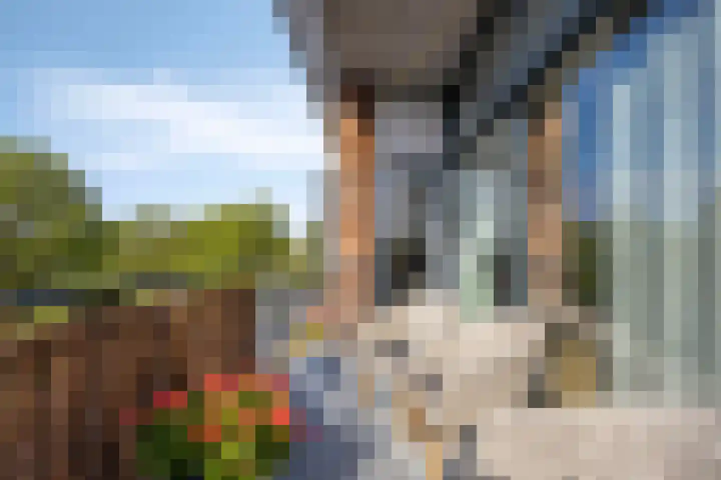 Anna van Renesselaan 14 c Uitgeest thumbnail 18