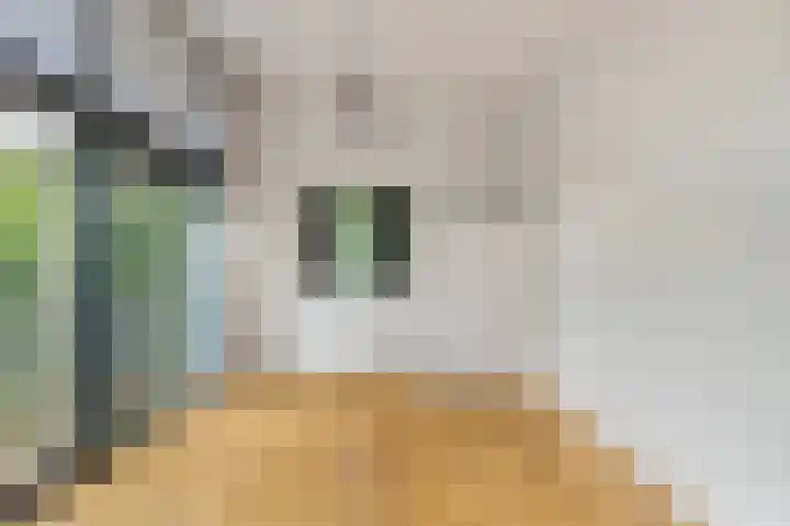 Anna van Renesselaan 18 d Uitgeest thumbnail 14