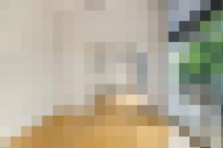 Anna van Renesselaan 18 d Uitgeest thumbnail 16