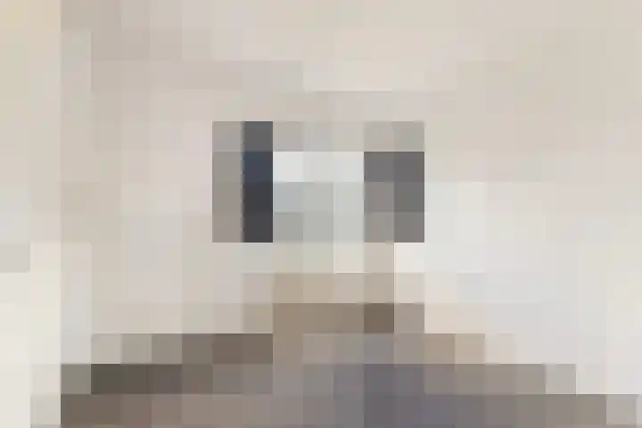 Anna van Renesselaan 18 d Uitgeest thumbnail 17
