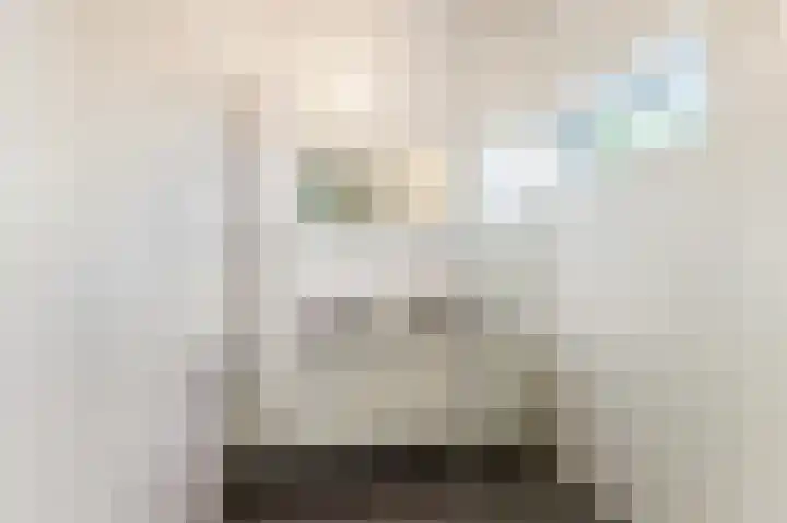 Anna van Renesselaan 18 d Uitgeest thumbnail 19