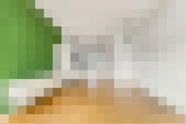 Anna van Renesselaan 18 d Uitgeest thumbnail 4