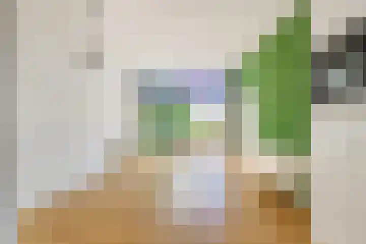 Anna van Renesselaan 18 d Uitgeest thumbnail 5