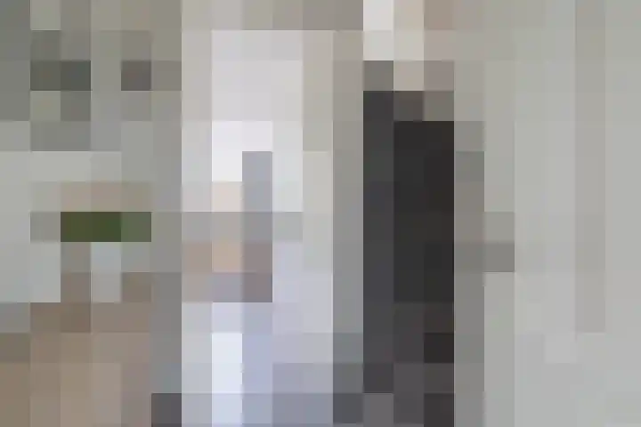 Anna van Renesselaan 24 Uitgeest thumbnail 14
