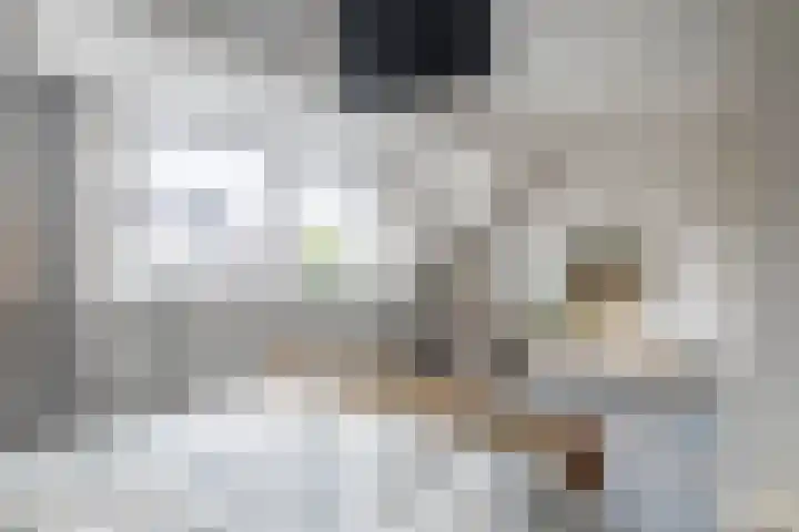 Anna van Renesselaan 24 Uitgeest thumbnail 17