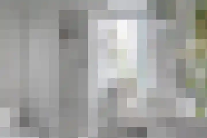 Anna van Renesselaan 24 Uitgeest thumbnail 20