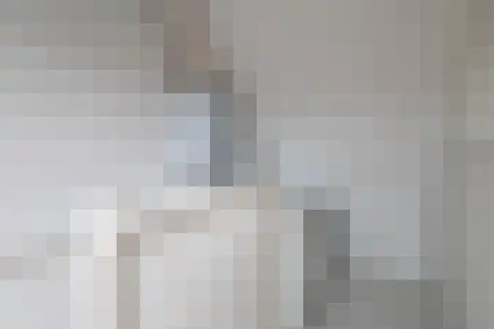 Anna van Renesselaan 24 Uitgeest thumbnail 24