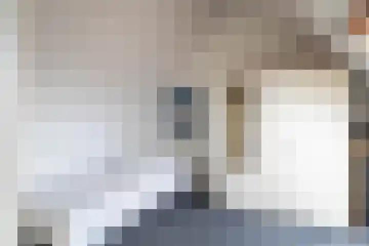 Anna van Renesselaan 24 Uitgeest thumbnail 25