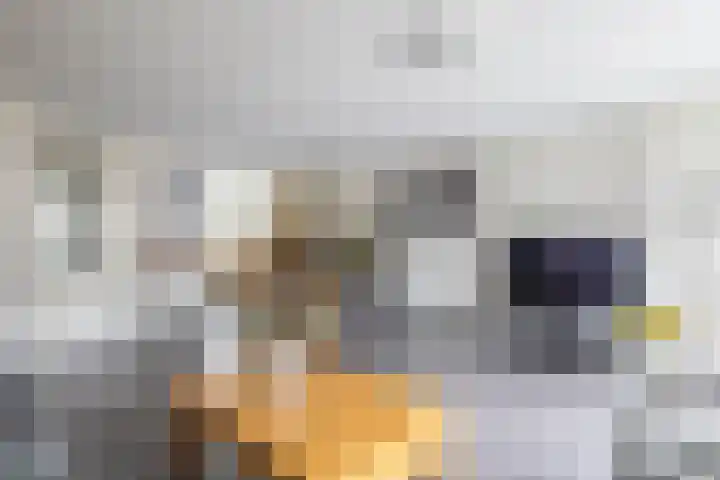 Anna van Renesselaan 24 Uitgeest thumbnail 5