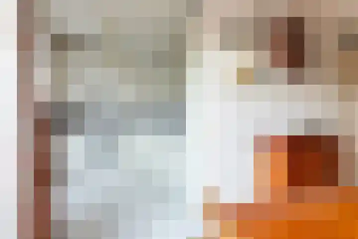 Anna van Renesselaan 31 Uitgeest thumbnail 10