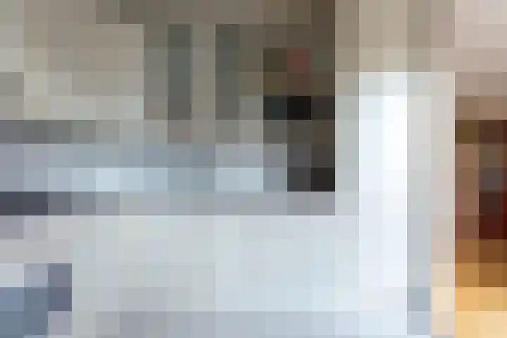 Anna van Renesselaan 31 Uitgeest thumbnail 12
