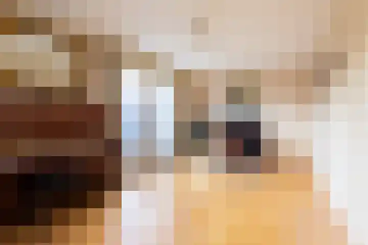 Anna van Renesselaan 31 Uitgeest thumbnail 15