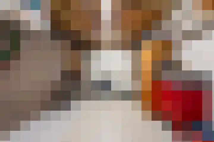 Anna van Renesselaan 31 Uitgeest thumbnail 20