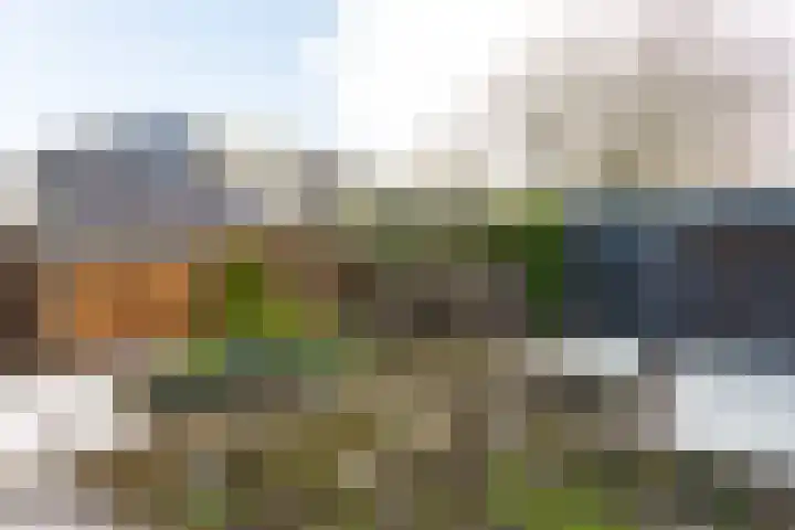 Anna van Renesselaan 31 Uitgeest thumbnail 25