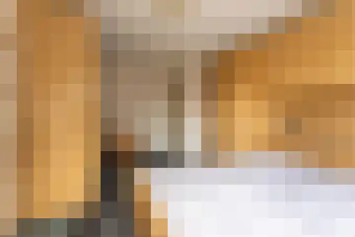 Anna van Renesselaan 31 Uitgeest thumbnail 34