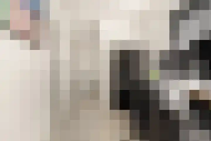 Anna van Renesselaan 39 Uitgeest thumbnail 34