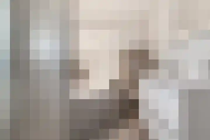 Anna van Renesselaan 39 Uitgeest thumbnail 36