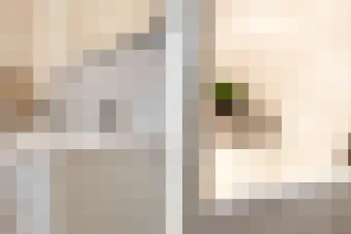 Anna van Renesselaan 39 Uitgeest thumbnail 37