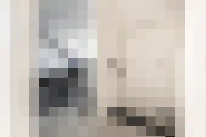 Anna van Renesselaan 39 Uitgeest thumbnail 42