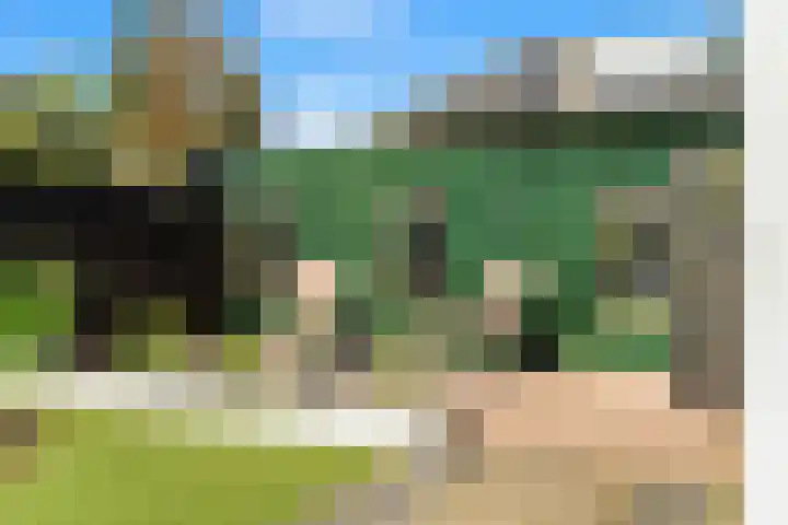 Anna van Renesselaan 39 Uitgeest thumbnail 52