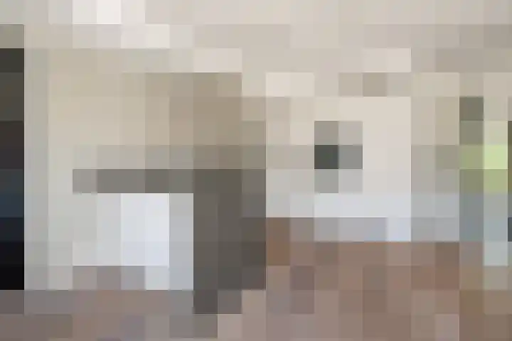 Anna van Renesselaan 39 Uitgeest thumbnail 6