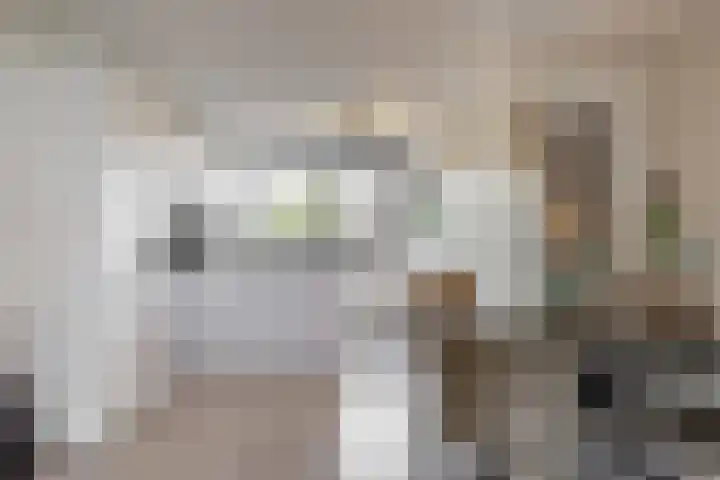 Anna van Renesselaan 8 b Uitgeest thumbnail 11