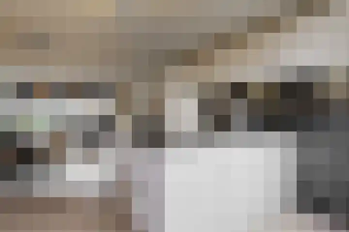 Anna van Renesselaan 8 b Uitgeest thumbnail 17