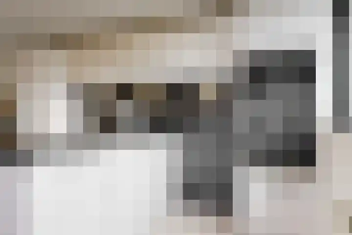 Anna van Renesselaan 8 b Uitgeest thumbnail 18