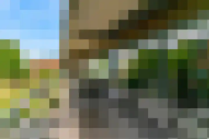 Anna van Renesselaan 8 b Uitgeest thumbnail 26
