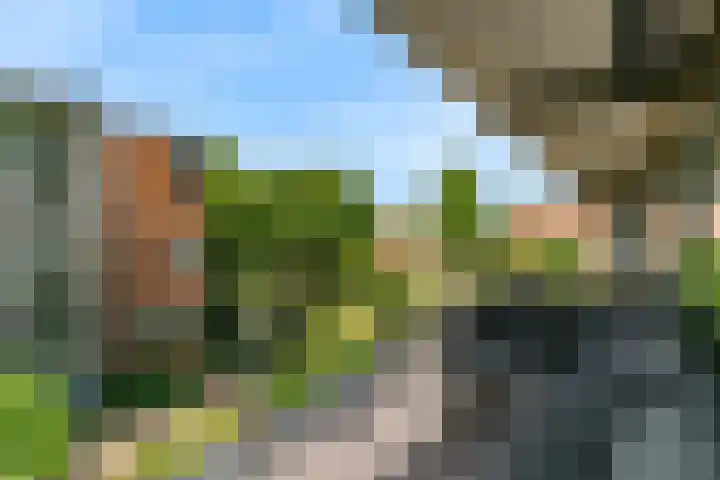 Anna van Renesselaan 8 b Uitgeest thumbnail 27