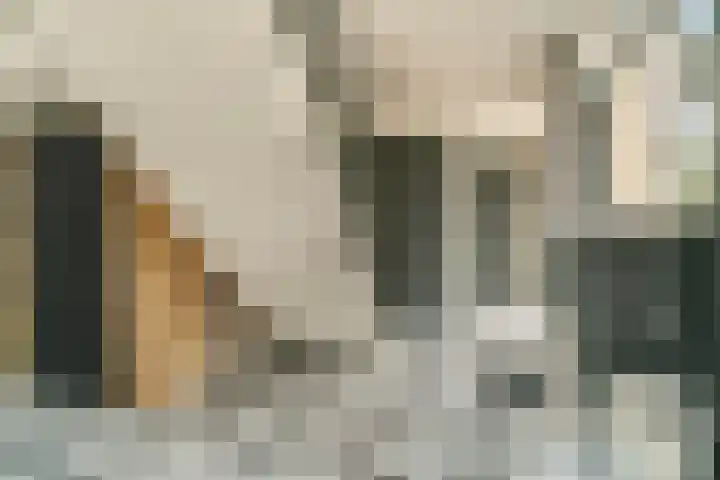 Anna van Renesselaan 8 b Uitgeest thumbnail 5