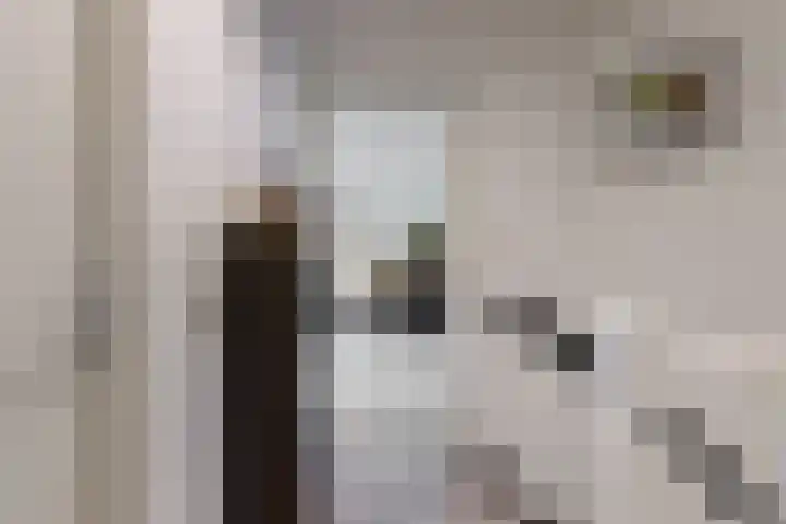 Anna van Renesselaan 8 b Uitgeest thumbnail 7