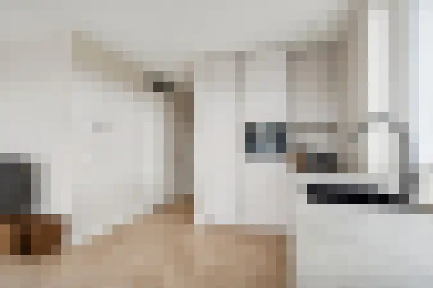 Anna van Rijnkade 113 Nieuwegein thumbnail 12