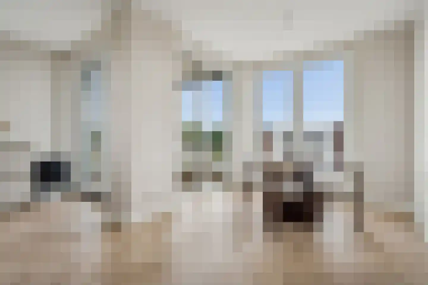 Anna van Rijnkade 113 Nieuwegein thumbnail 6