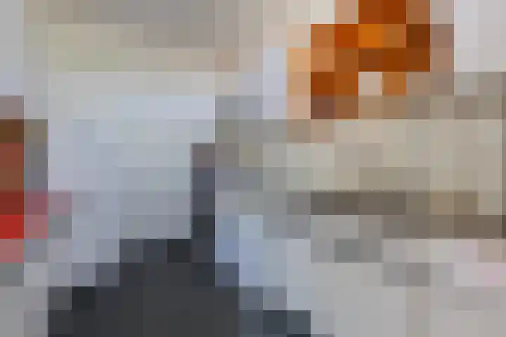 Anna van Saksenlaan 11 Leusden thumbnail 12