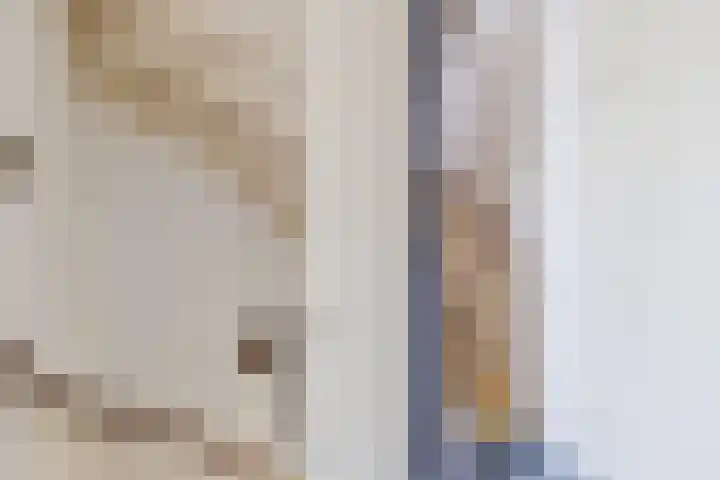 Anna van Saksenlaan 11 Leusden thumbnail 23