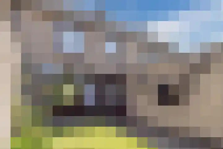 Anna van Saksenlaan 11 Leusden thumbnail 29