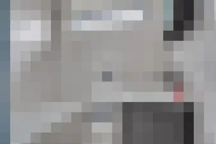 Anna van Saksenlaan 4 Leusden thumbnail 18