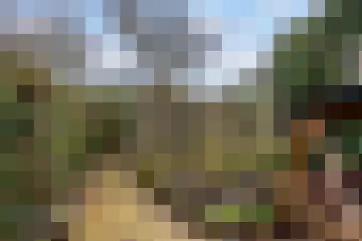 Anna van Saksenlaan 4 Leusden thumbnail 34